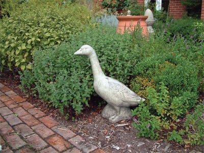 Một số mẫu đắp tượng thú vật mầm non tại Tp Vinh Nghệ An, Hà Tĩnh cực đẹp