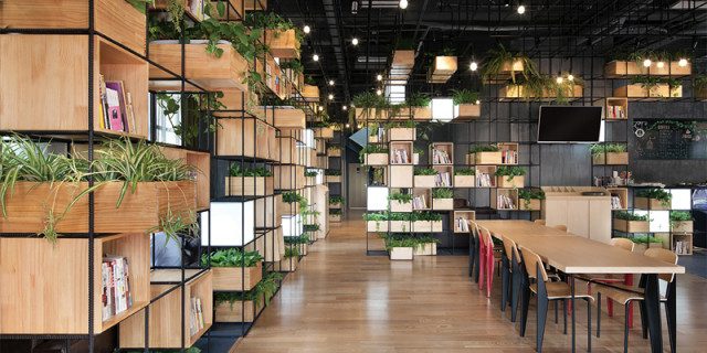 mẫu thiết kế quán cafe đẹp