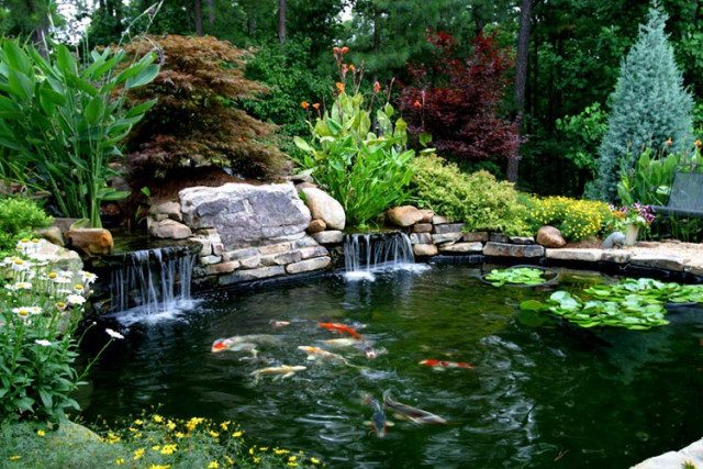 Thi công hồ cá tại nghệ an