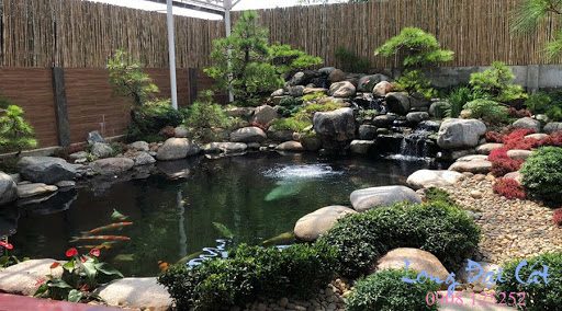 Thiết kế thi công hồ cá koi tại nghệ an đẹp giá rẻ