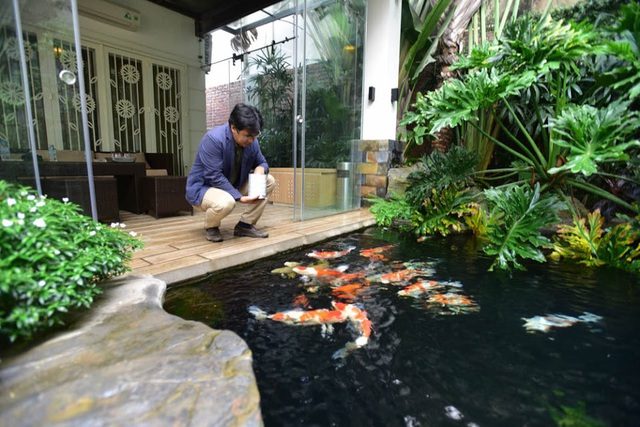 Thiết kế thi công hồ cá koi tại nghệ an đẹp giá rẻ