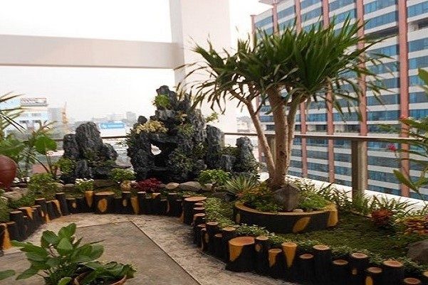 thiết kế thi công tiểu cảnh sân thượng tại tp vinh nghệ an hà tĩnh 3